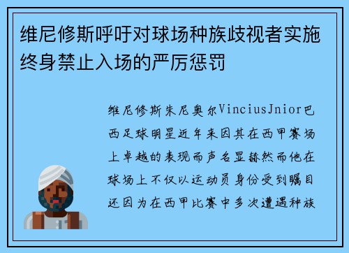 维尼修斯呼吁对球场种族歧视者实施终身禁止入场的严厉惩罚 维尼修斯呼吁对球场种族歧视者实施终身禁止入场的严厉惩罚